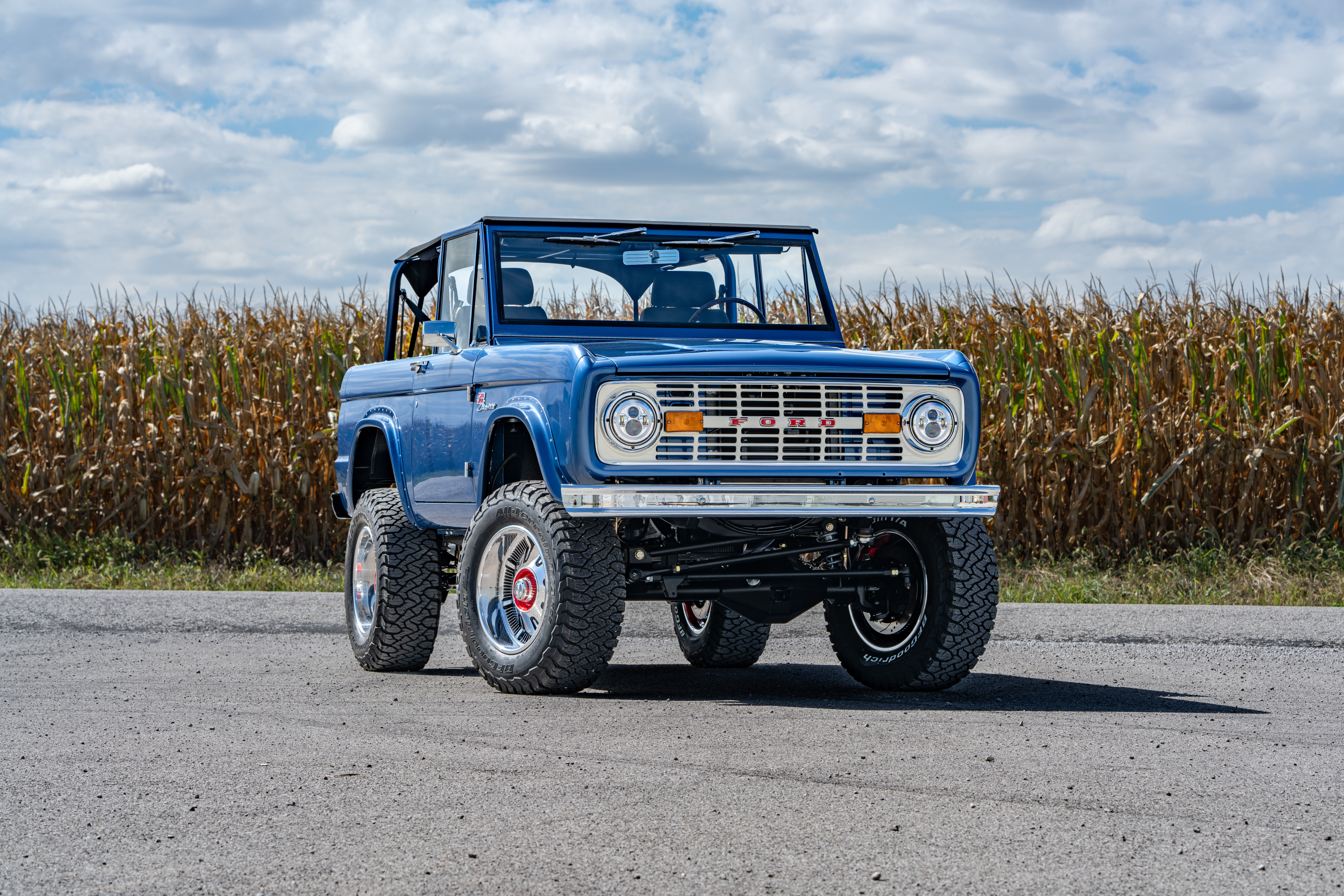 Medium Blue Coyote Edition